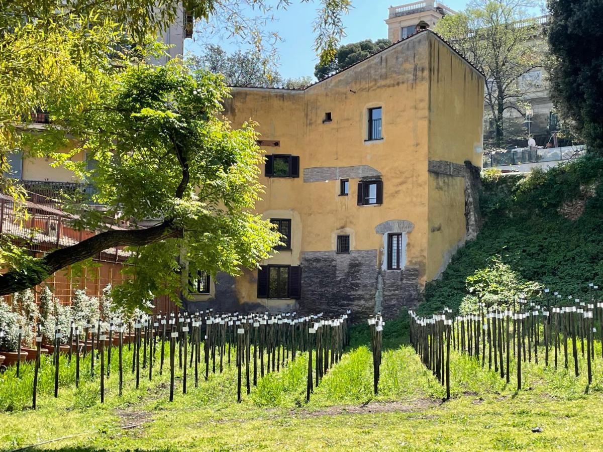 Il Mulino Di Trastevere - My Extra Apartamento
